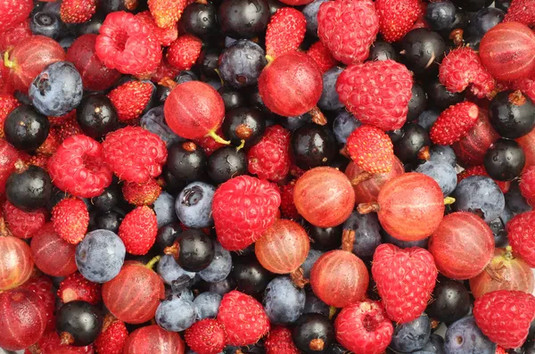 Sommer Beeren Hintergrund lizenzfreie Stockfotos