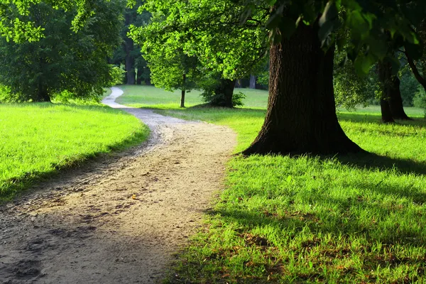 Camino en un parque verde al final de la tarde — Foto de Stock