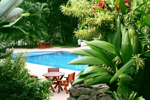 Piscina em ambiente tropical — Fotografia de Stock