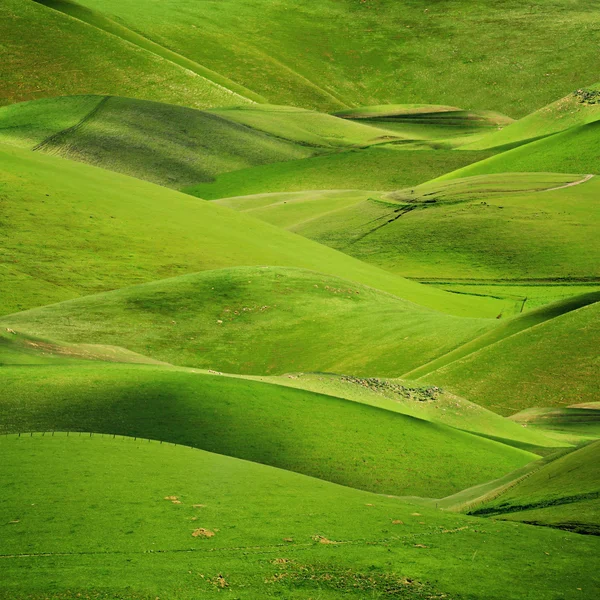 Válcování zelenými kopci pozadí — Stock fotografie