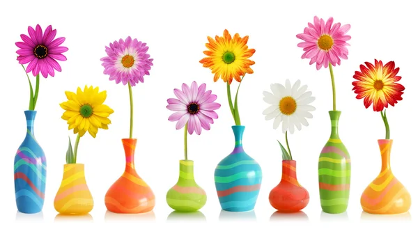 Daisy flowers in vases — Stock Photo, Image