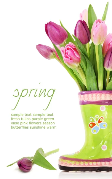 Tavaszi tulipán virág csizma — Stock Fotó