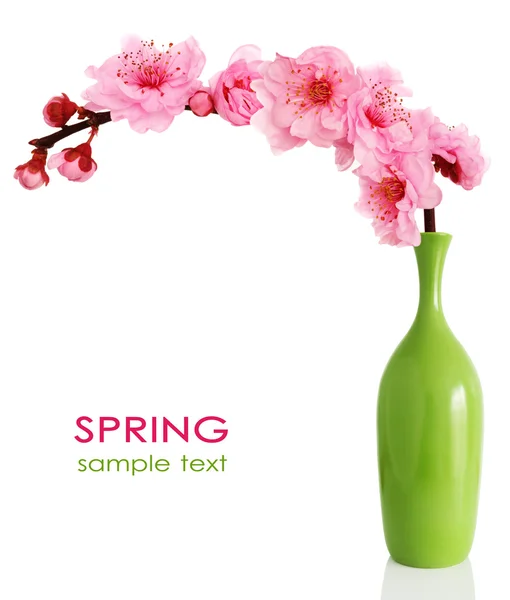 Blooming spring cherry branch in vase — Stock Photo, Image
