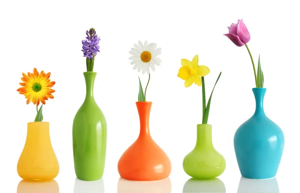 Spring flowers in vases — Stock Photo, Image