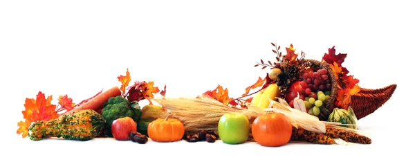 Cornucopia border — Stock Photo, Image