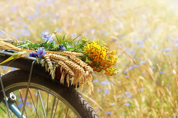 Zomer bloemen — Stockfoto