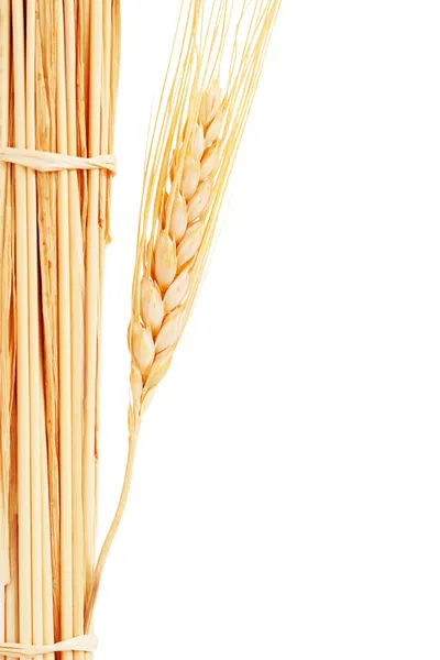 Pilha de trigo — Fotografia de Stock