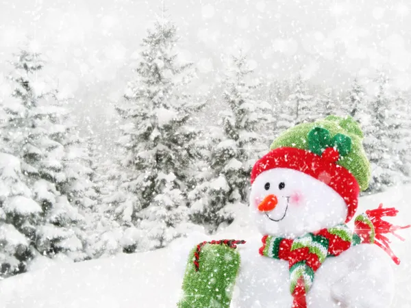 Bonhomme de neige heureux dans le paysage hivernal — Photo