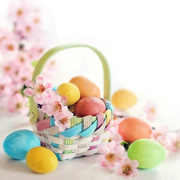 Ovos de Páscoa de primavera e flores em uma cesta — Fotografia de Stock