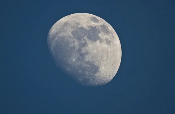 Meia Lua Fotos De Bancos De Imagens