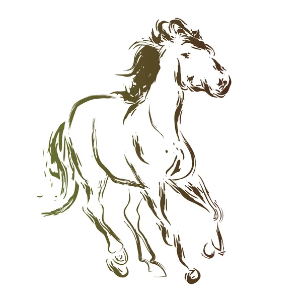 Koně skica — Stockový vektor