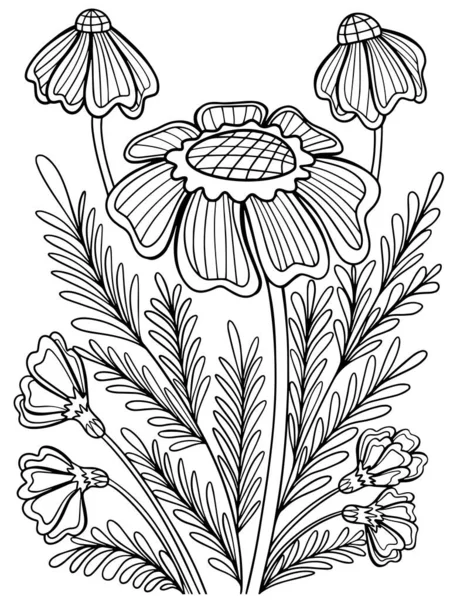 Μπουκέτο Από Μαργαρίτες Λουλούδια Χρωματίζοντας Σελίδα Φυτά Φαντασία Σχέδιο Χέρι — Διανυσματικό Αρχείο