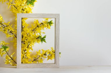 Tahta çerçeve ve forsythia bitkisi ile yaz bahar kompozisyonu. Boş alanı kopyalayan resim.