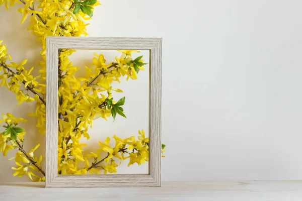 Tahta çerçeve ve forsythia bitkisi ile yaz bahar kompozisyonu. Boş alanı kopyalayan resim.