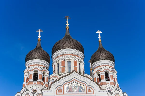 Aleksandr Nevsky Cathedral — Stock Photo, Image