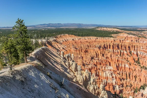 Canyon de Bryce — Photo