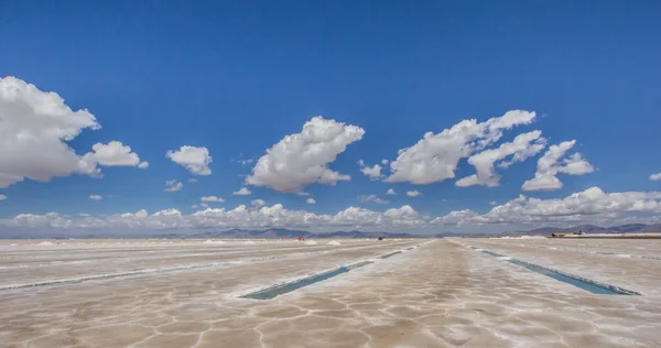 Salinas grandes zout bekkens — Stockfoto