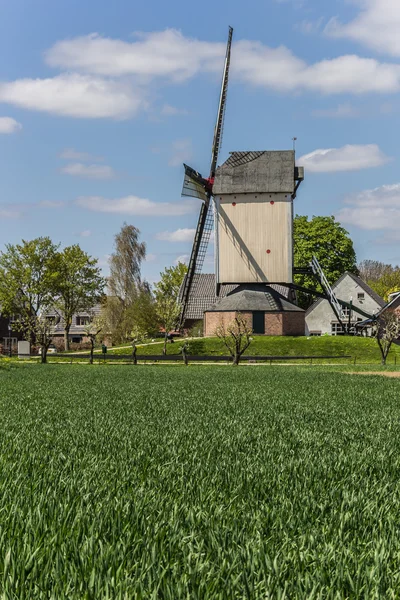 Moulin à vent néerlandais De Vink — Photo