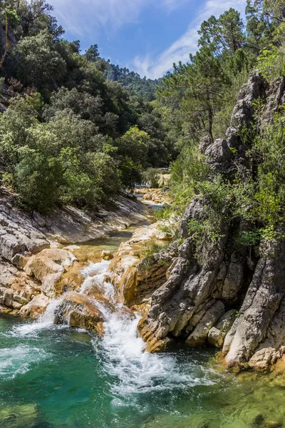 Stream cazorla Milli Parkı — Stok fotoğraf