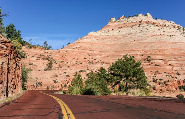 Camino rojo a través del Parque Nacional Zion — Foto de Stock