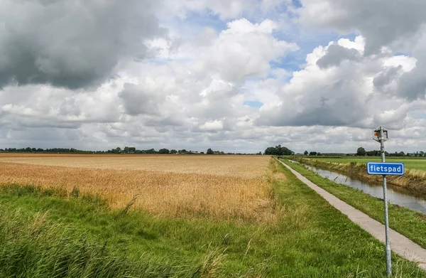 Велосипедний шлях через голландський пейзаж — стокове фото