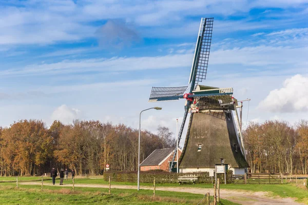 Moulin Vent Historique Dans Réserve Naturelle Oudemolen Pays Bas — Photo