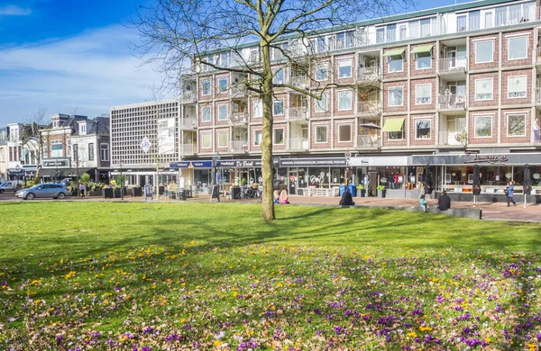 荷兰阿森市的一个购物街上 有五彩缤纷的春花的公园 — 图库照片