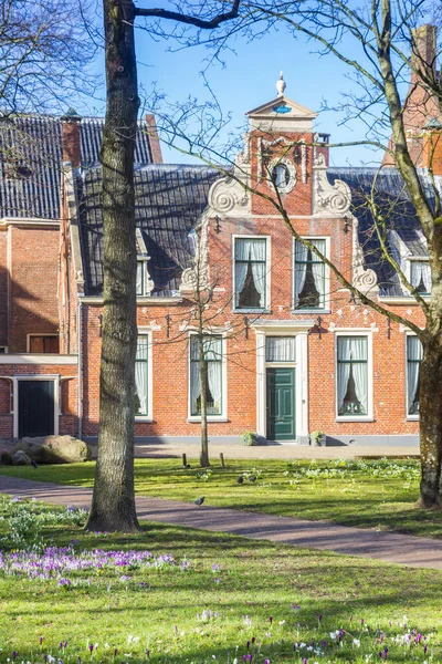 Gotas Neve Crocos Praça Martinihof Groningen Países Baixos — Fotografia de Stock
