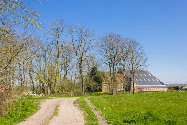 Dirt Road Leading Historic Farm Fransum Netherlands — Stock Photo, Image