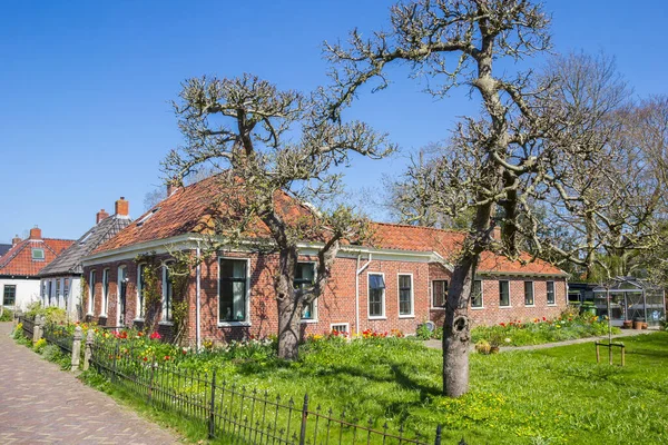 Historiska Hus Med Färgglad Trädgård Zuidhorn Nederländerna — Stockfoto