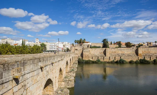 Történelmi Római Híd Alcazaba Guadiana Folyónál Meridában Spanyolországban — Stock Fotó