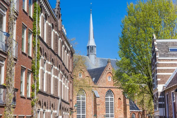 Spire Van Historische Grote Kerk Leeuwarden Nederland — Stockfoto