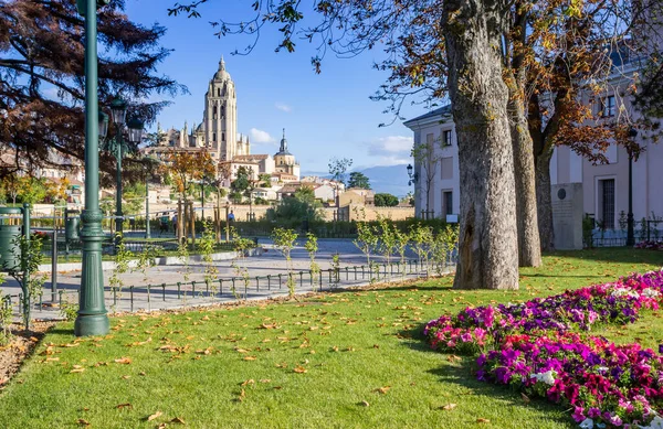 Fleurs Sur Place Reina Face Cathédrale Ségovie Espagne — Photo