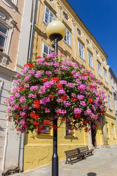 チェコ共和国ズノイモの歴史的中心部の街路灯の上の花 — ストック写真