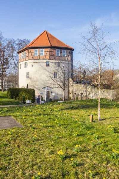 Torre Rondell Histórica Parque Aschersleben Alemania —  Fotos de Stock