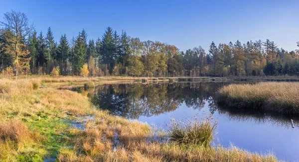 Panorama Little Lake Nature Preserve Borger Netherlands — Stock Photo, Image