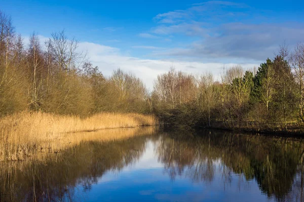 Petit Lac Dans Région Schildmeer Groningue Pays Bas — Photo