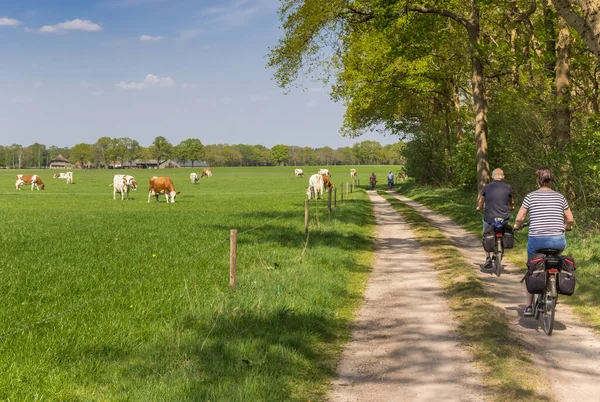 Пара Їздить Велосипеді Ґрунтовій Дорозі Оверіссель Нідерланди — стокове фото