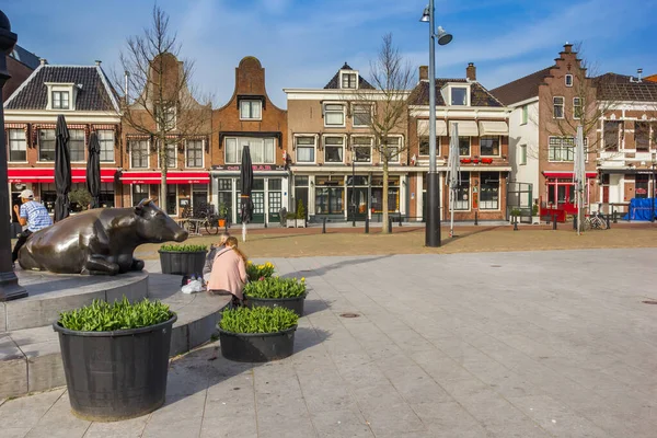オランダ パームラントのKoemarkt広場にある牛の彫刻と歴史的家屋 — ストック写真