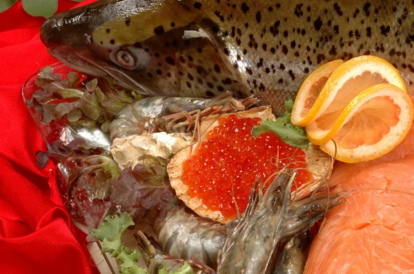 Seafood — Stock Photo, Image