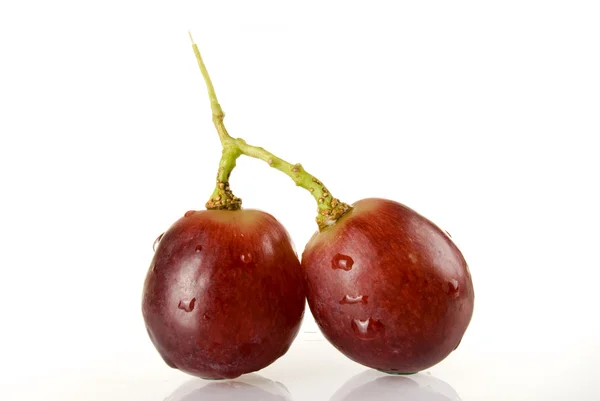 Grape — Stock Photo, Image