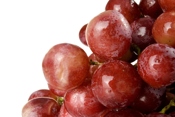 Grape — Stock Photo, Image