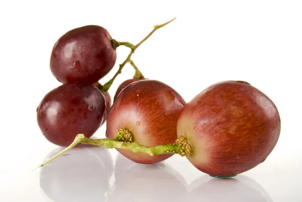 Grape — Stock Photo, Image