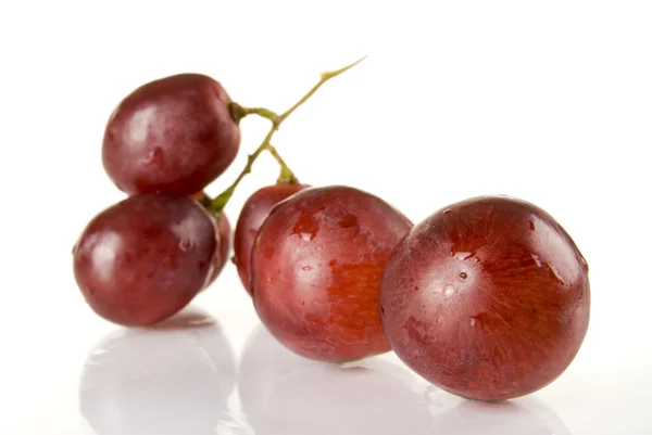 Grape — Stock Photo, Image