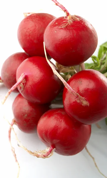 Radishes — Stock Photo, Image