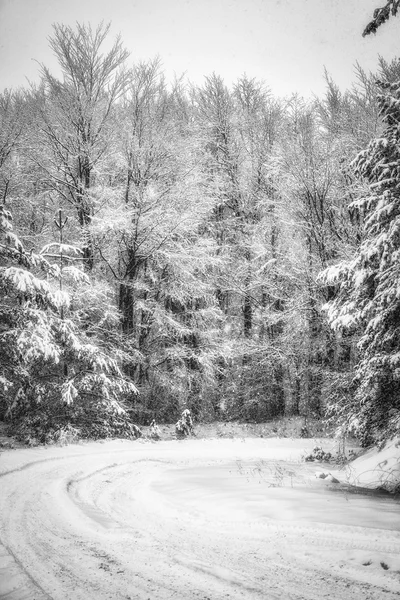 Paesaggio invernale — Foto Stock