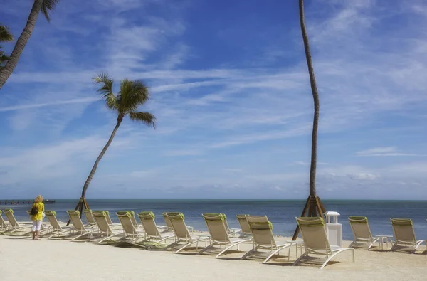 Canvas Chairs and palms — Stock Photo, Image