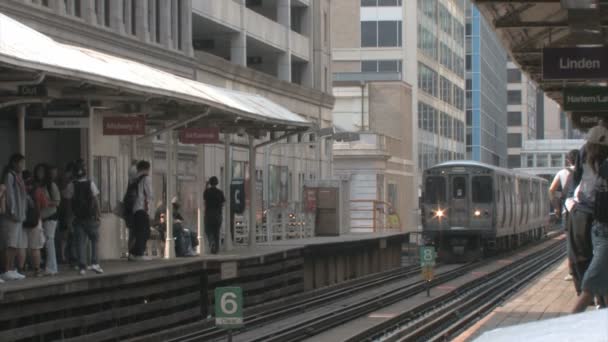 Verhoogde trein in chicago — Stockvideo