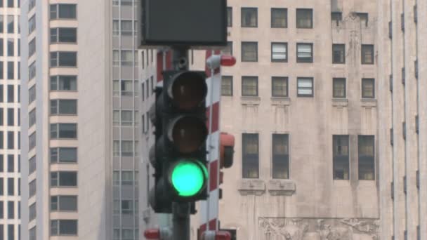 Verkeerslichten — Stockvideo