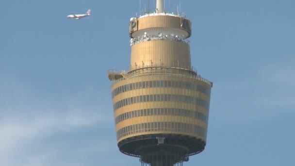 Sydney Tower — Stockvideo